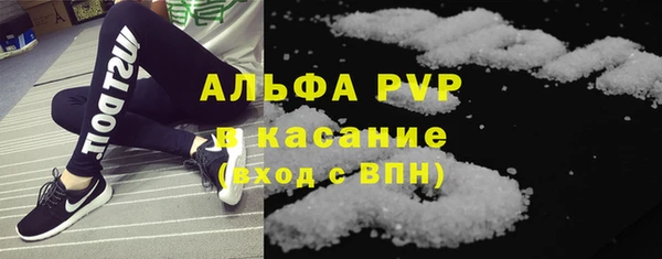 сатива Нягань