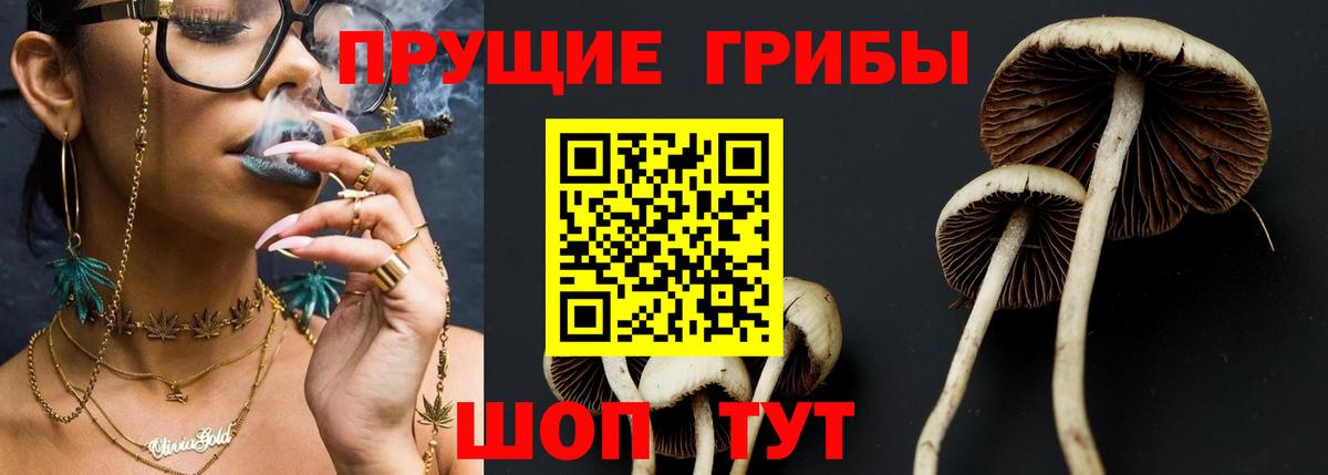 Псилоцибиновые грибы MAGIC MUSHROOMS  Галлюциногенные грибы прущие грибы  Вход с VPN  Сафоново 